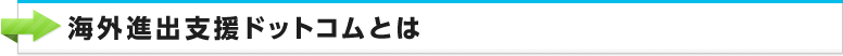 海外進出支援ドットコムとは